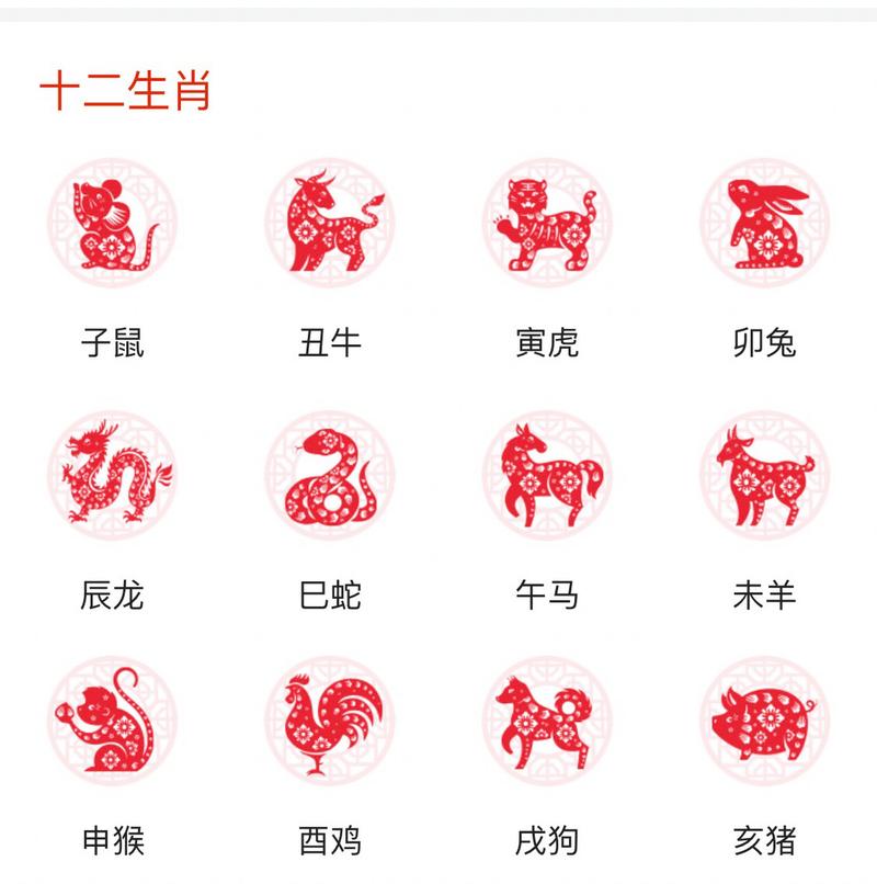 12月5日起生肖猴兔虎运势大变，实现飞跃指南