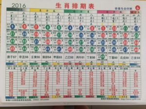 揭秘十二生肖高手：低调蓄力，绽放光彩