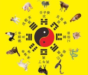 大雪节气生肖运势解析：辰龙巳蛇午马未羊吉凶预告