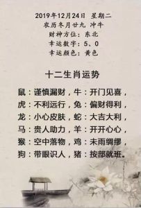12月5日起，生肖狗鸡蛇运势大爆发，把握机遇！