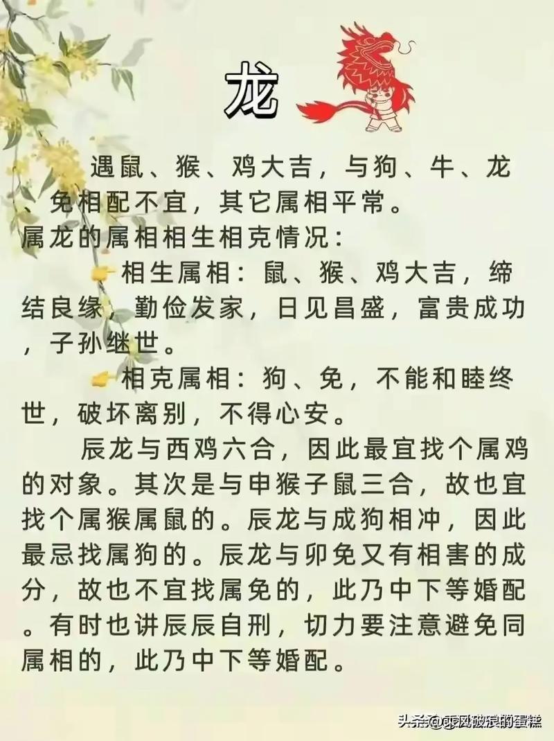 生肖运势提升：鼠龙蛇羊迎来成功之月