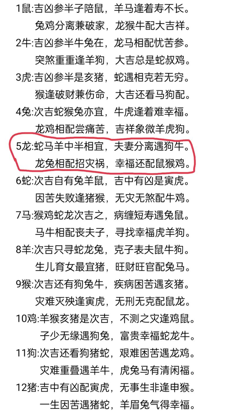 2025年职场潜力生肖星座：鼠龙羊天秤跃升指南