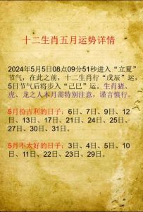 2024年12月5日运势解析：生肖运势及健康财运建议