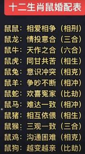 生肖运势揭秘：鼠虎马猴四生肖好运来袭！