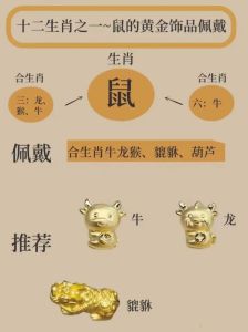 12月生肖运势提升：龙猴牛猪转运指南