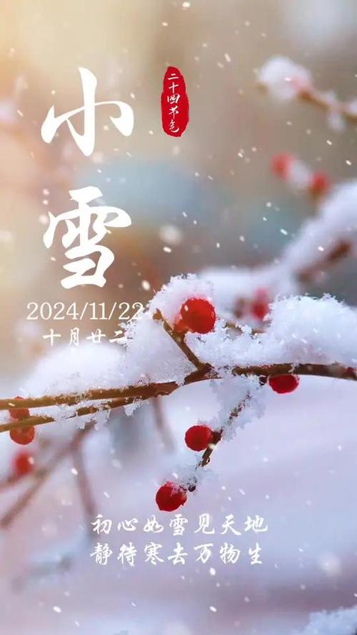 2024年12月4日：小雪节气，法制宣传日，生肖运势解析