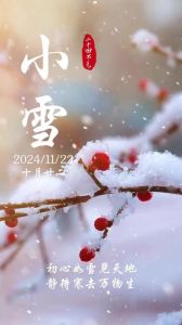 2024年12月4日：小雪节气，法制宣传日，生肖运势解析
