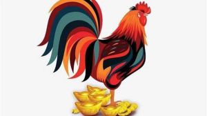 2025年生肖运势：龙蛇马猴旺，其他生肖也丰收