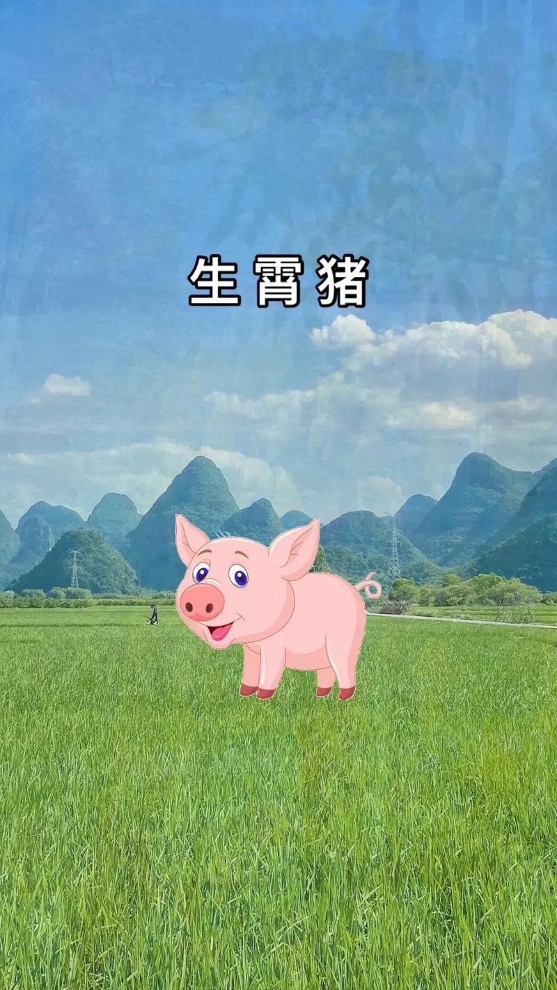 生肖女幸福晚年揭秘：鼠牛羊猪四大特点