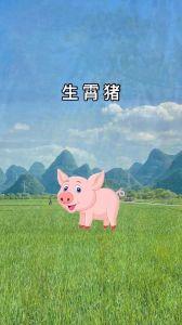 生肖女幸福晚年揭秘：鼠牛羊猪四大特点