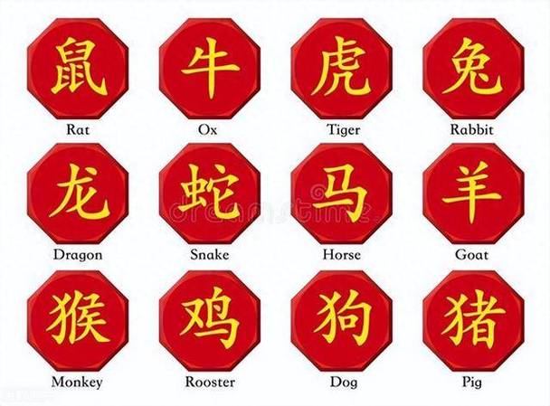 越老越富贵：揭秘四大生肖命运财富之道