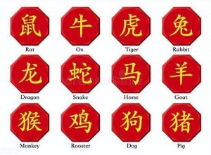 越老越富贵：揭秘四大生肖命运财富之道