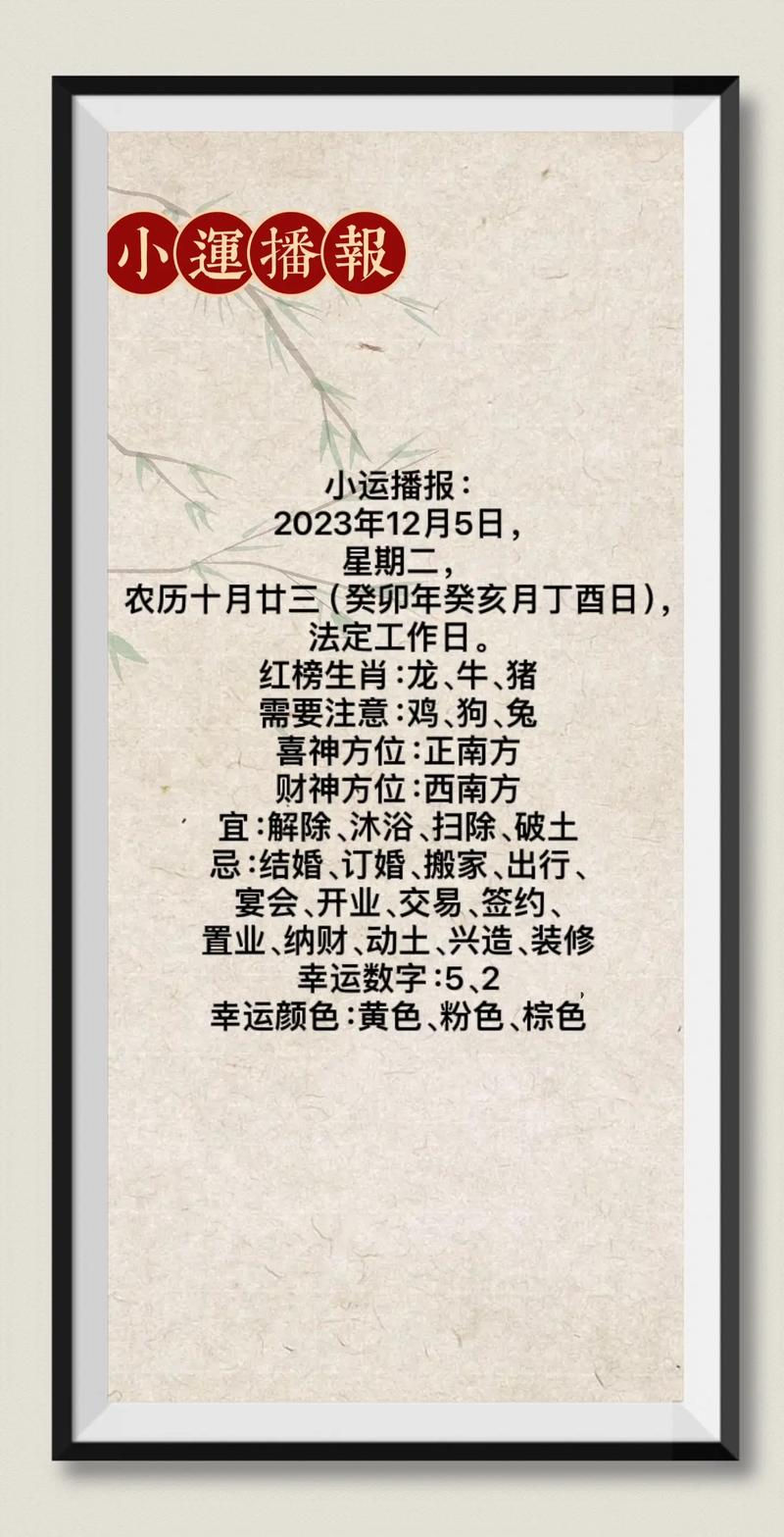12月5日生肖运势：事业财运解析与调整建议