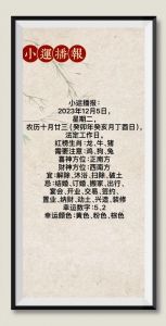 12月5日生肖运势：事业财运解析与调整建议