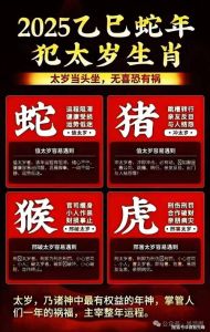 2025生肖运势大解析：龙鸡鼠猴飙升！
