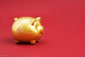 2025生肖星座运势：事业爱情双丰收，贵人助力关键年
