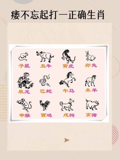 2025年生肖运势：龙马猴猪好运，关键在个人努力