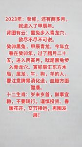生肖运势：投资时机与谨慎事项一览