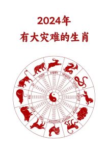 2024年12月5日生肖运势解析：运势各异，各有建议