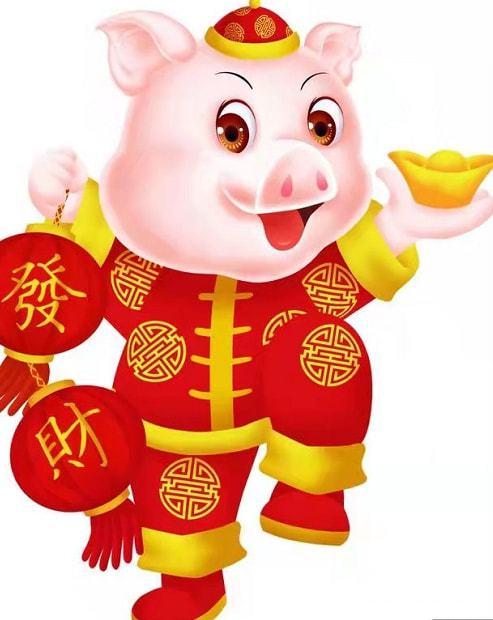 12月生肖运势：蛇虎猪大放异彩，成功靠个人努力！