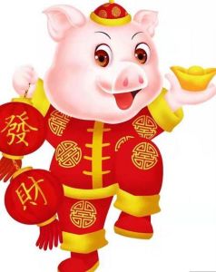 12月生肖运势：蛇虎猪大放异彩，成功靠个人努力！