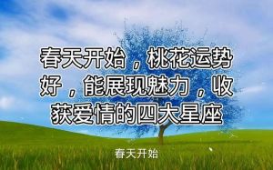 2025年四大星座桃花运势：把握机会，收获爱情！