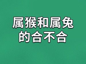 12月5日属兔鼠猴运势佳，理财谨慎迎好运