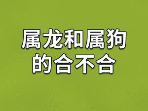 12月5日属龙狗牛翻身逆袭：事业财运双丰收