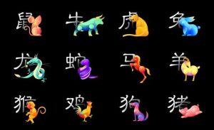 生肖女性魅力解析：哪些特质让男倾心？