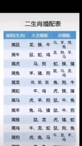 脾气不佳生肖女：属鸡马蛇龙揭秘