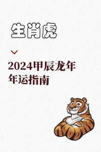 生肖虎2024年反差：好运预测与实际生活的差异