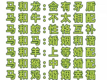 生肖女性魅力解析：蛇马女热情果断，共建幸福家