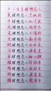 四大生肖女性优点解析：理想伴侣典范揭晓