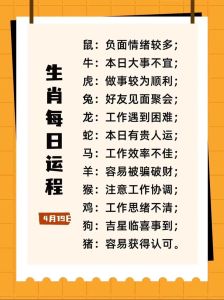 2024年12月6日生肖运势解析与注意事项