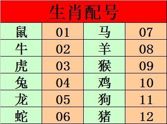 揭秘：生肖猴虎蛇龙外表不正经 内心靠谱魅力