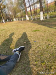 梦境解析：女人梦见狗咬腿的吉兆含义