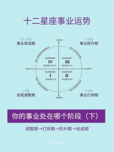 12星座运势详解：财运事业爱情全面分析