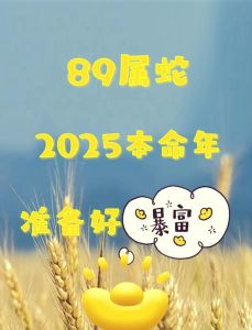 2025乙巳年12月运势解析：平稳与规划之道