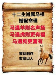 12月生肖运势大逆袭：马兔虎蛇财运亨通！