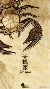 12星座运势大逆袭：天蝎事业高峰，金牛财运亨通！