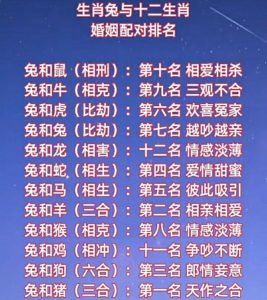 兔年最佳配对：五大属相携手幸福和谐