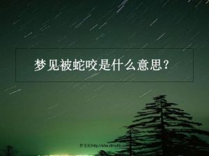 揭秘梦中蛇咬自己：周易与心理解梦奥秘