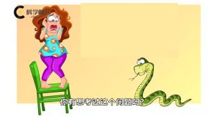 梦境解析：蛇的象征意义与生活启示