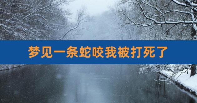 女人梦蛇咬手臂：揭秘象征意义与吉兆预示