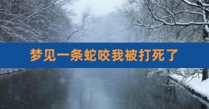 女人梦蛇咬手臂：揭秘象征意义与吉兆预示