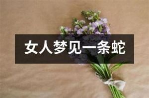 女人梦见蛇的含义解析：幽默解读与内心世界反映