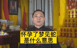 孕妇胎梦解析：蛇追象征意义与心理调适