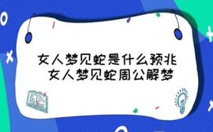 蛇咬梦境揭秘：恐惧健康与人际关系的象征