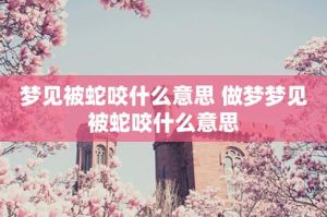 周公解梦：女性梦见蛇咬吉兆，预示好运及生活启示