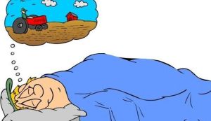 揭秘梦境：梦游江湖，宁静夜晚的奇幻之旅